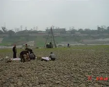天博体育app-河床多线作战阵容调整，保证体能充沛的简单介绍